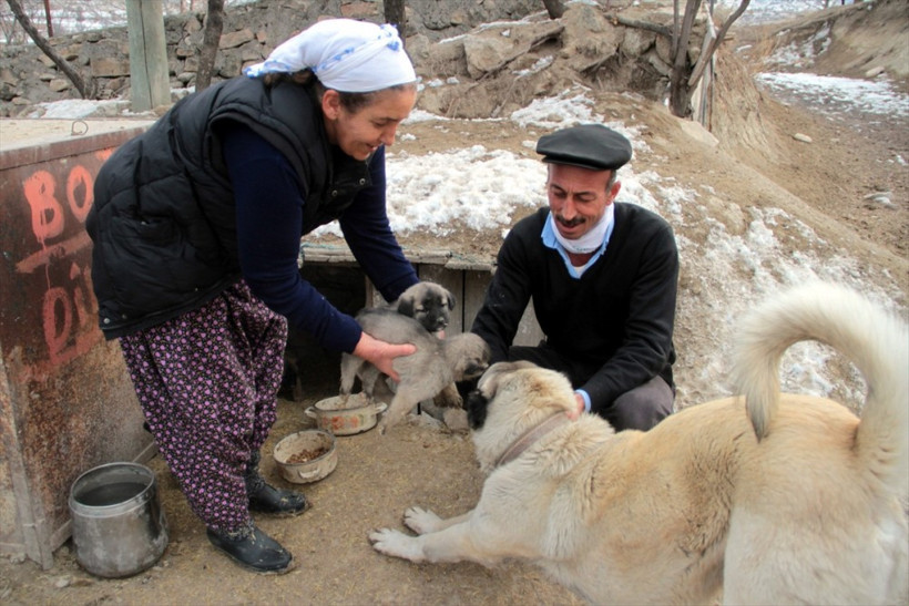 Elazığlı köylü kadını öyle güzel bir 'iyilik' yaptı ki...  - Resim: 4
