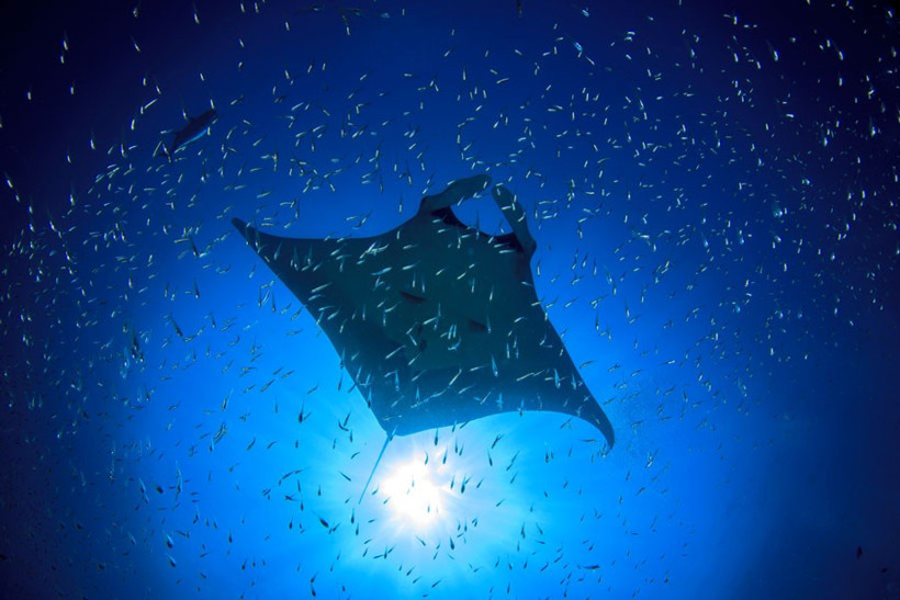 UNESCO listesinden muhteşem fotoğraflar Türkiye'de var! - Resim: 4