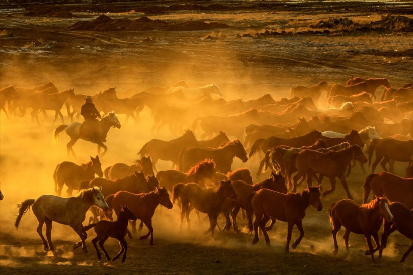 Film senaryosu veya Teksas değil! Burası Türkiye - Resim: 2