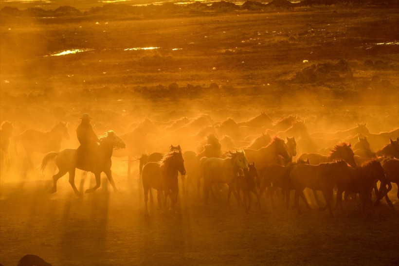 Film senaryosu veya Teksas değil! Burası Türkiye - Resim: 3