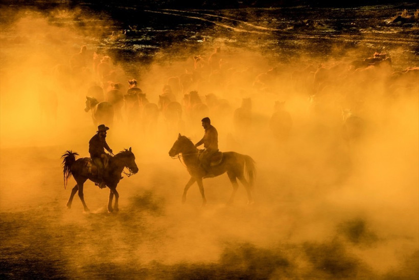 Film senaryosu veya Teksas değil! Burası Türkiye - Resim: 4