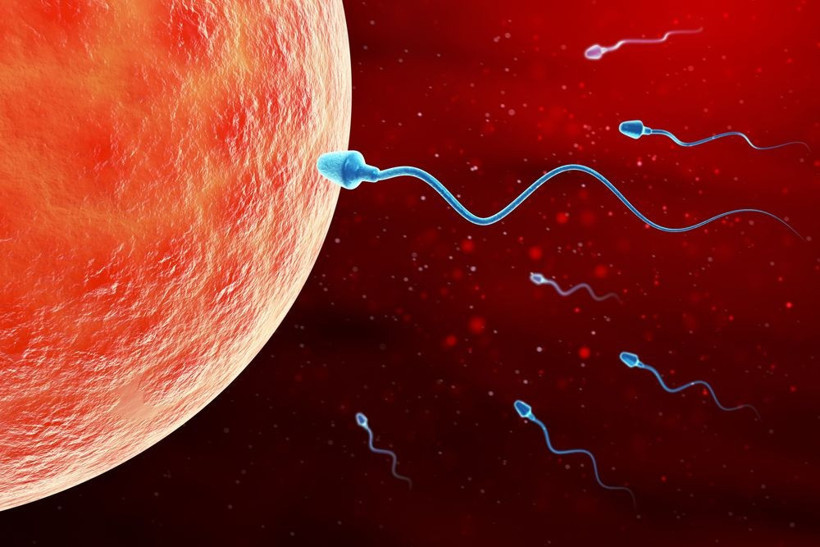 Batılı erkeklerin sperm sayısı yarı yarıya azaldı! - Resim: 4
