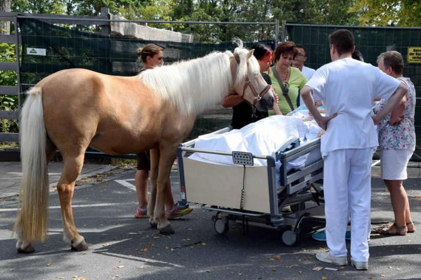 Ölmeden önce tek bir isteği vardı hastane yönetimi hemen harekete geçti - Resim: 3