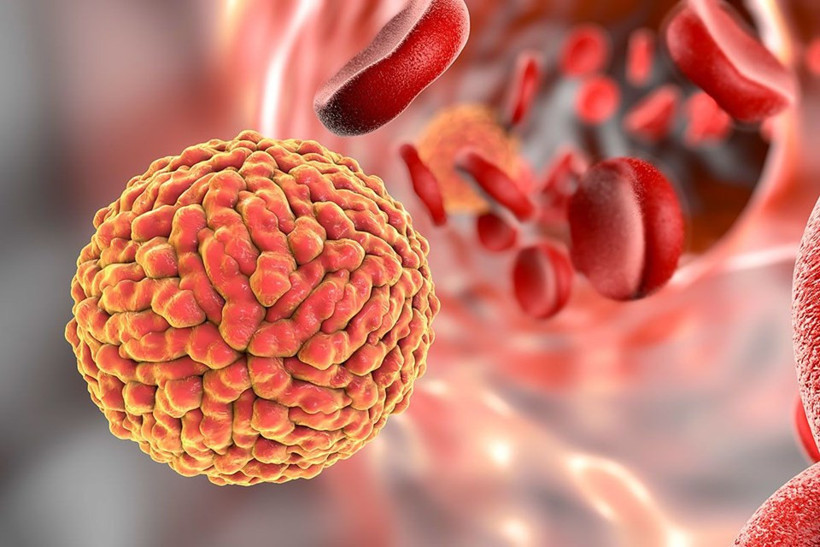 Sakat doğumlara neden olan virüs Türkiye'de mi? - Resim: 2