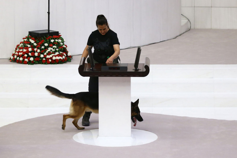 Meclis bugün açılıyor! Dedektör köpeklerle arama yapıldı - Resim: 4