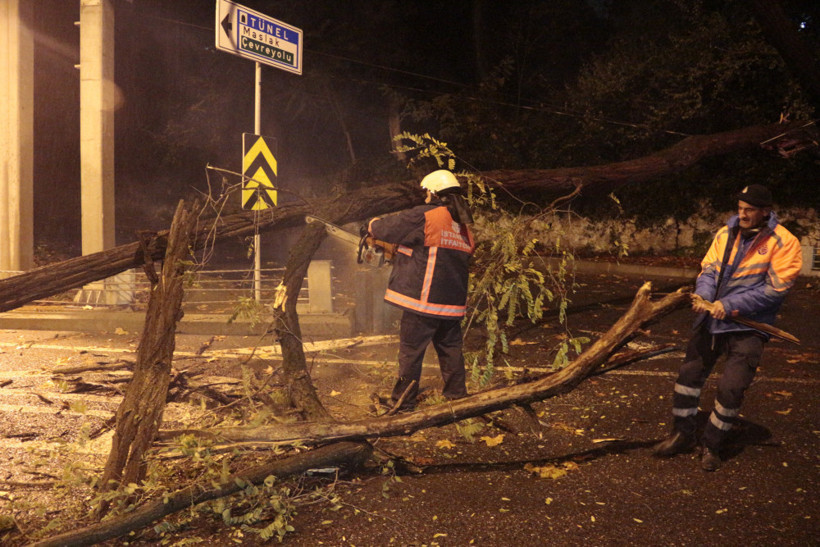 İstanbul'un göbeğinde ağaç devrildi, yol trafiğe kapandı - Resim: 3