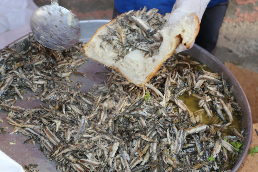 Ordu'da 'Hamsi Şenliği' düzenlendi - Resim: 3