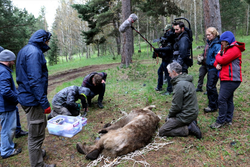 BBC Sarıkamış'ın  yaban hayatını Dünya'ya tanıtacak - Resim: 2