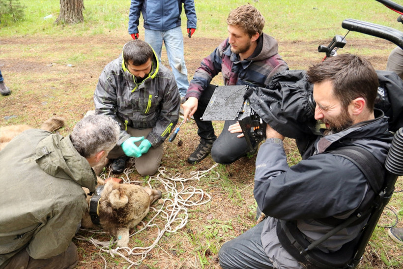 BBC Sarıkamış'ın  yaban hayatını Dünya'ya tanıtacak - Resim: 4