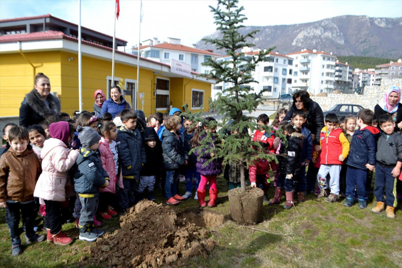  Minik ellerden Afrin şehidi için fidan - Resim: 1