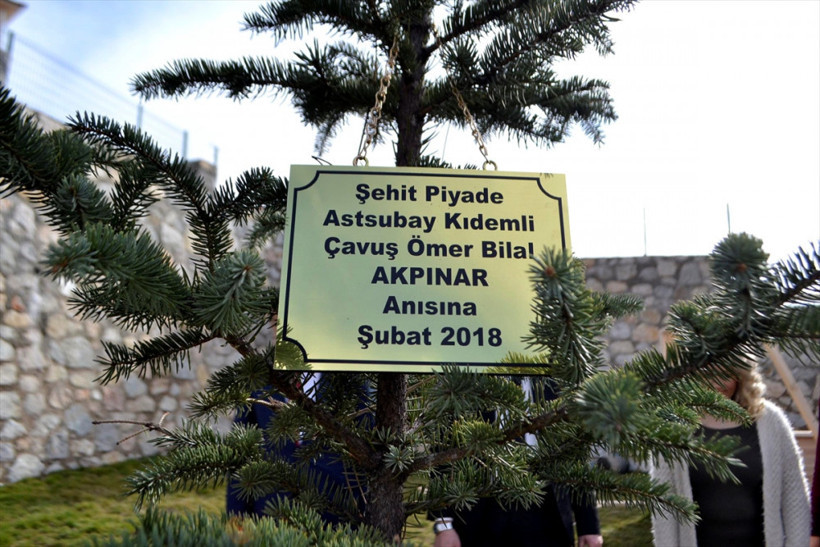  Minik ellerden Afrin şehidi için fidan - Resim: 2