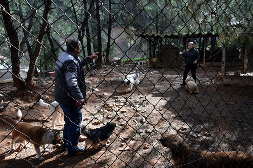  Sokak hayvanlarının doktor annesi - Resim: 2