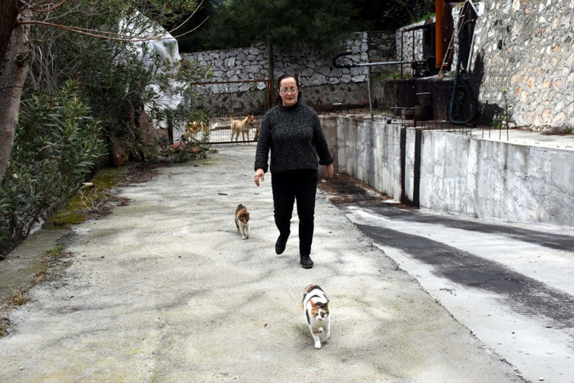  Sokak hayvanlarının doktor annesi - Resim: 3