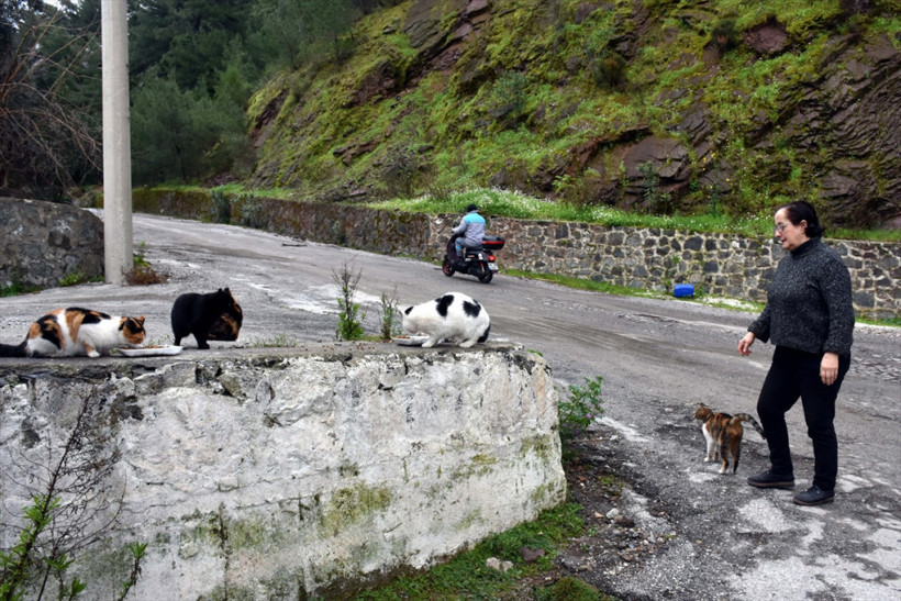  Sokak hayvanlarının doktor annesi - Resim: 4