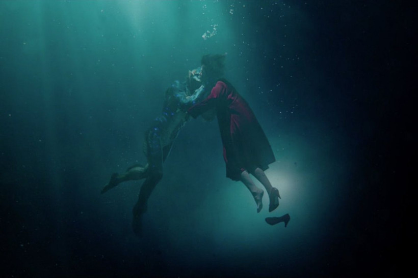 90. Oscar ödülllerini hangi filmler alacak? İşte adaylar - Resim: 2