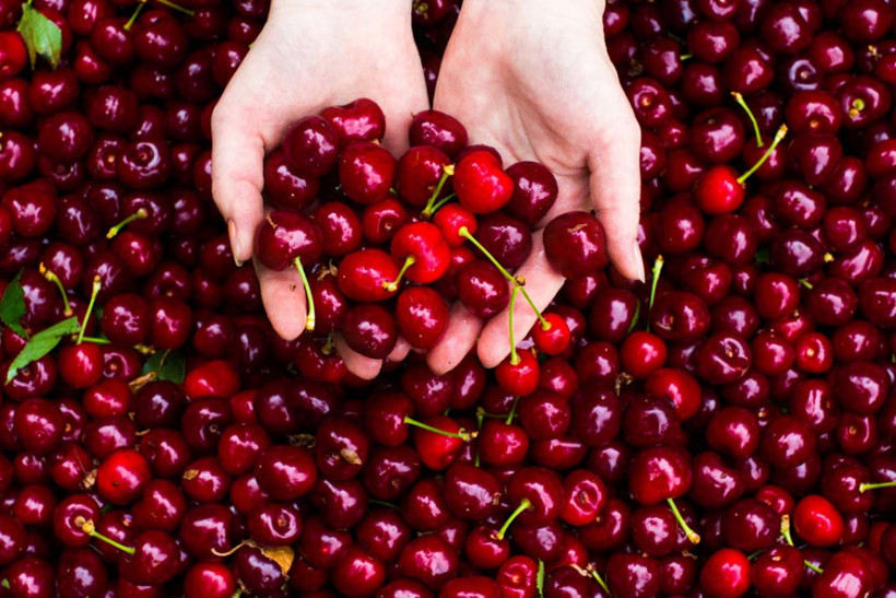 İftardan sonra tatlı yerine kiraz yiyin - Resim: 1