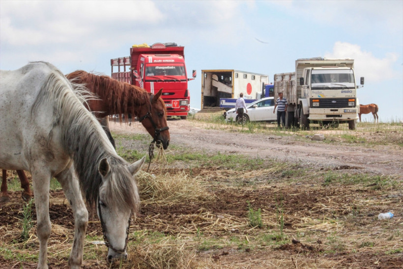 Haftalardır Beykoz'da bekliyorlardı: Karar verildi! - Resim: 3
