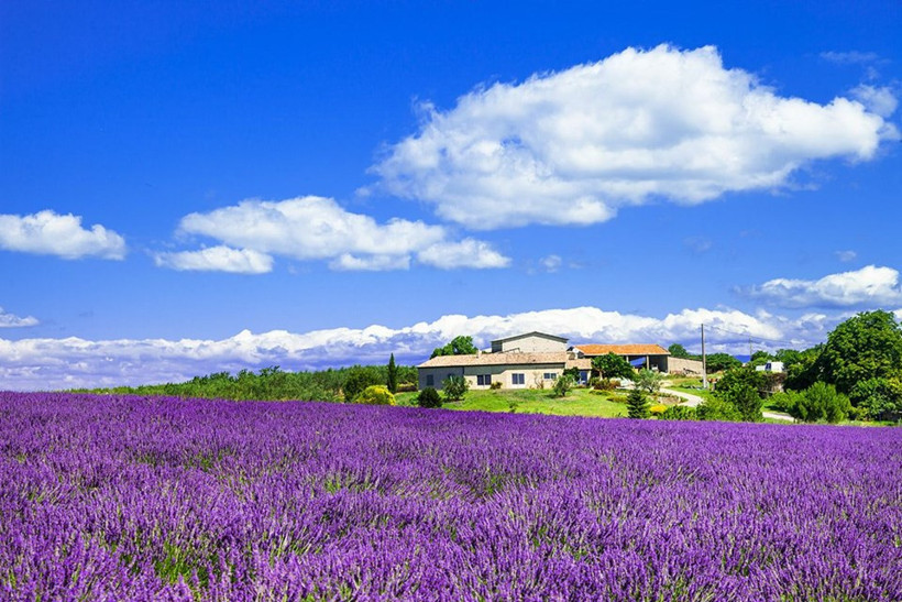 Herkes burada fotoğraf çektirmek için yarışıyor - Resim: 2