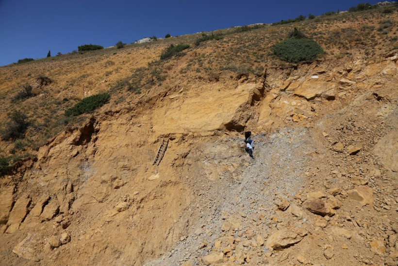 Yıllardır yaktıkları şey 48 milyon yaşında çıktı - Resim: 1
