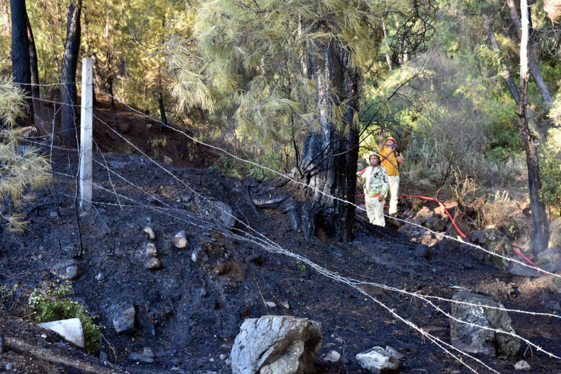 Marmaris'te yangın çıktı: Sebebi şoke etti! - Resim: 1
