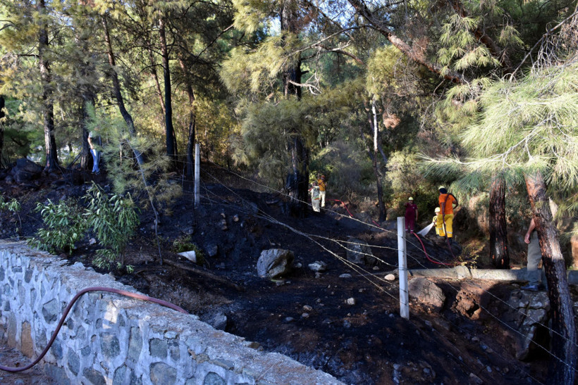 Marmaris'te yangın çıktı: Sebebi şoke etti! - Resim: 2