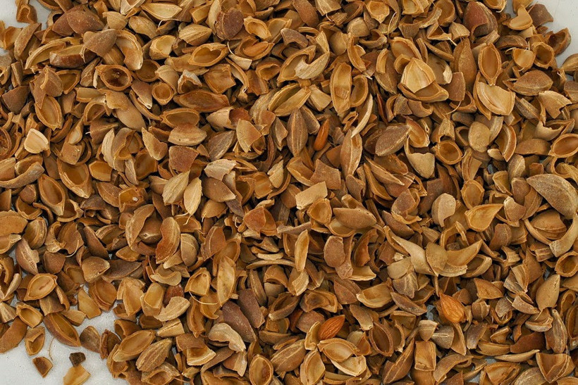 Kayısı çekirdeği yok satıyor meğer sıradışı bir kullanım yeri varmış - Resim: 4