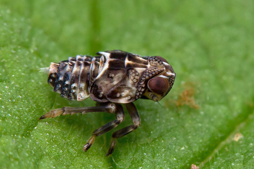 Ne olduğunu tahmin bile edemezsiniz! - Resim: 4
