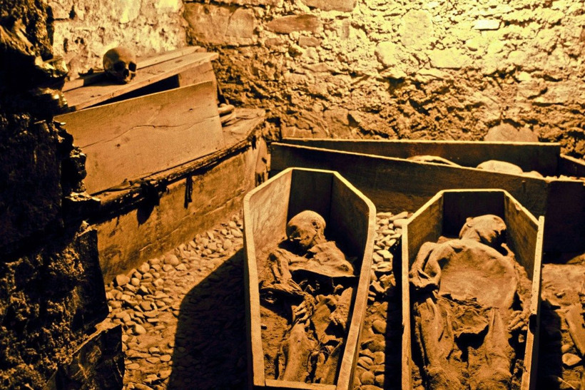 Şoke eden hırsızlık! 800 yıllık asker mumyasının başı çalındı - Resim: 2