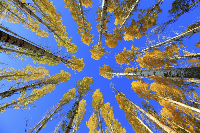 AA muhabiri Abdulkadir Nişancı'nın çektiği fotoğraflara bakın - Resim: 1