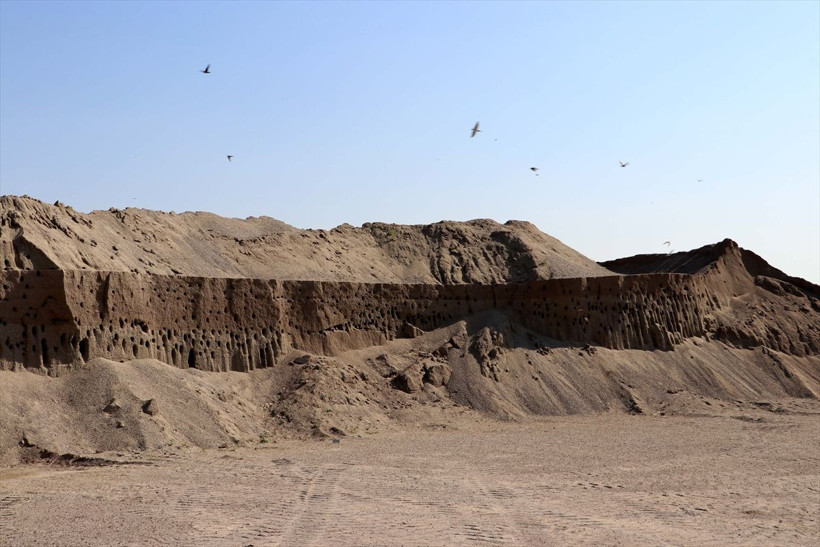 Kırlangıç yuvalarına kıyamadılar zarar etmeyi göze aldılar - Resim: 4