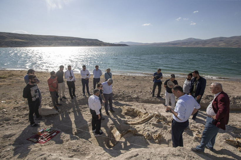Kayseri'de kazı çalışmalarında 7,5 milyon yıllık fosiller bulundu! - Resim: 4