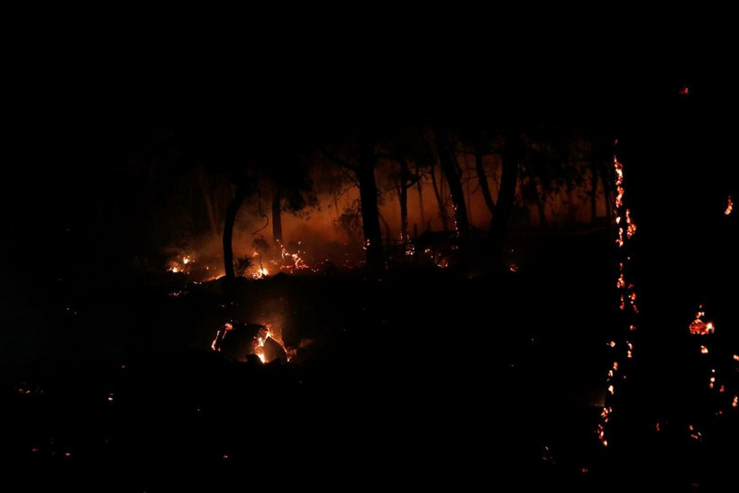 Muğla'da orman yangını 18 saat sonra kısmen kontrol altında - Resim: 4