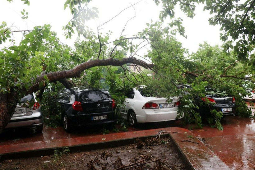 Kocaeli'de sağanak yağmur hayatı felç etti! Araçların üzerine ağaç devrildi - Resim: 4