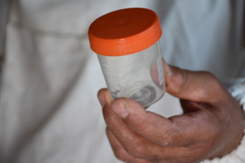 Kırıkkale'de arı zehri üretmeye başladı! Kilosu 500 bin liradan satılıyor - Resim: 4