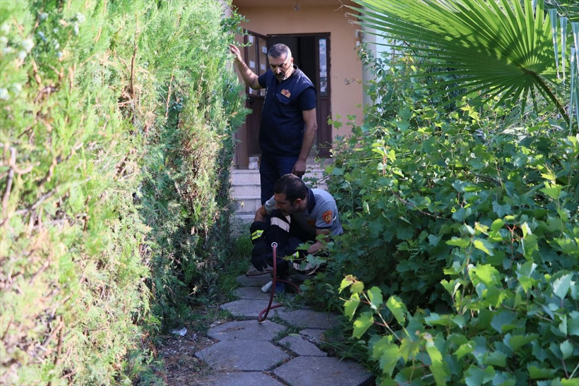 Hatay'da mangallı kedi kurtarma operasyonu - Resim: 4