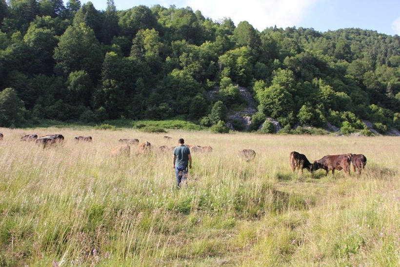 Gezmek için geldi! Manzaraya hayran oldu mesleğini değiştirdi - Resim: 2