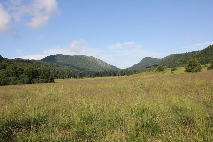 Gezmek için geldi! Manzaraya hayran oldu mesleğini değiştirdi - Resim: 4