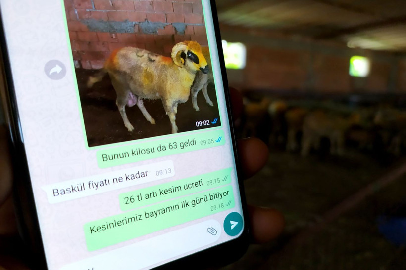 Cep telefonuyla mobil kurbanlık satıyor! Vekaleti dahi mobil alıyor - Resim: 1