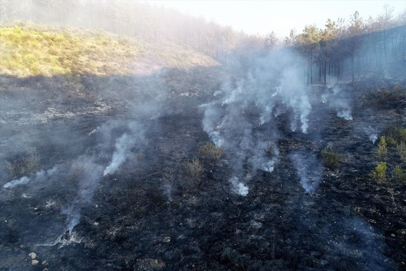 Muğla'dan sonra Manavgat'ta da orman yangınları korkuttu - Resim: 2