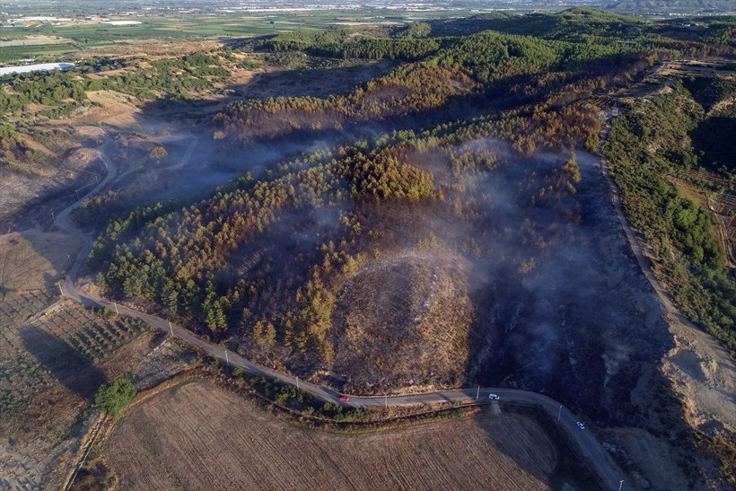 Muğla'dan sonra Manavgat'ta da orman yangınları korkuttu - Resim: 3
