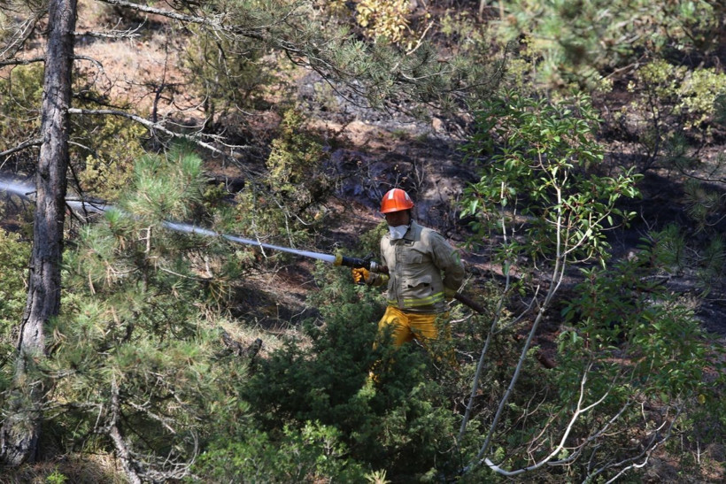 Orman Genel Müdürlüğü açıkladı! Ağustos'ta yüzlerce hektarlık ormanlar yok oldu - Resim: 4