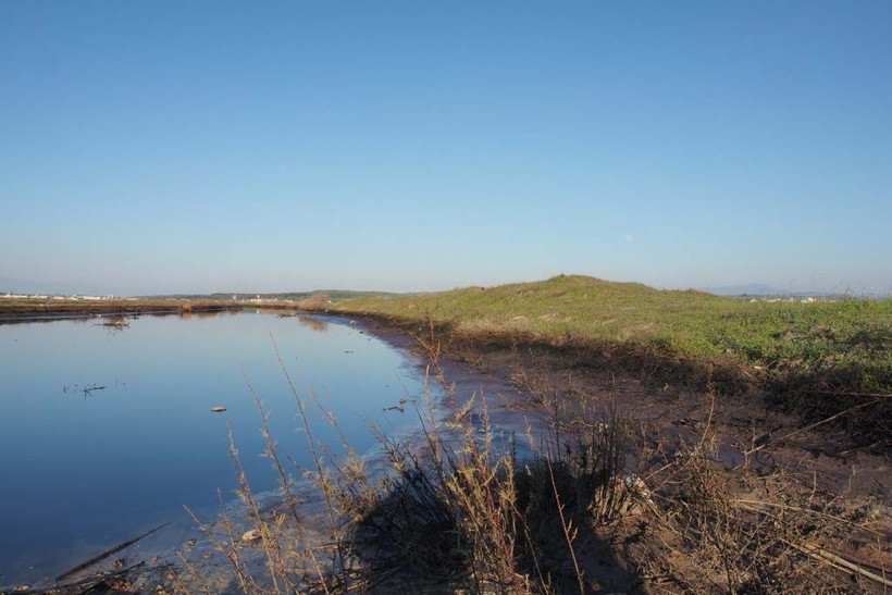 Mikdat Kadıoğlu iklim değişikliğine karşı uyardı! Hastalıklar artacak - Resim: 3