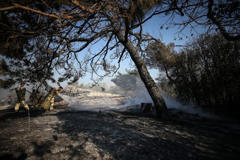 Çanakkale'deki yangından geriye kalan çok acı kareler - Resim: 4