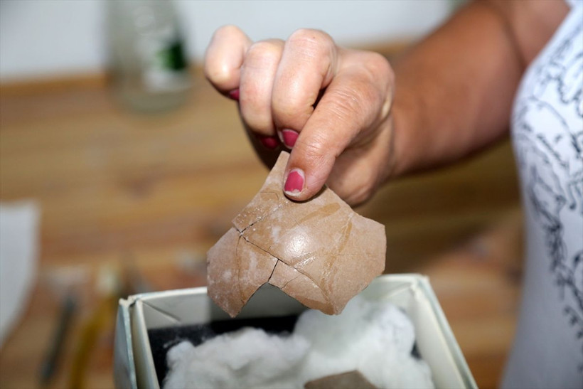 Çankırı'da zürafa gergedan ve kılıç dişli kaplandan sonra bakın ne bulundu! - Resim: 3