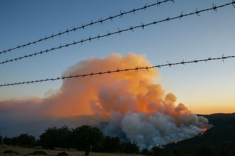 Seferihisar- Karabağlar - Menderes'e sıçradı! İzmir orman yangınında son durum - Resim: 3