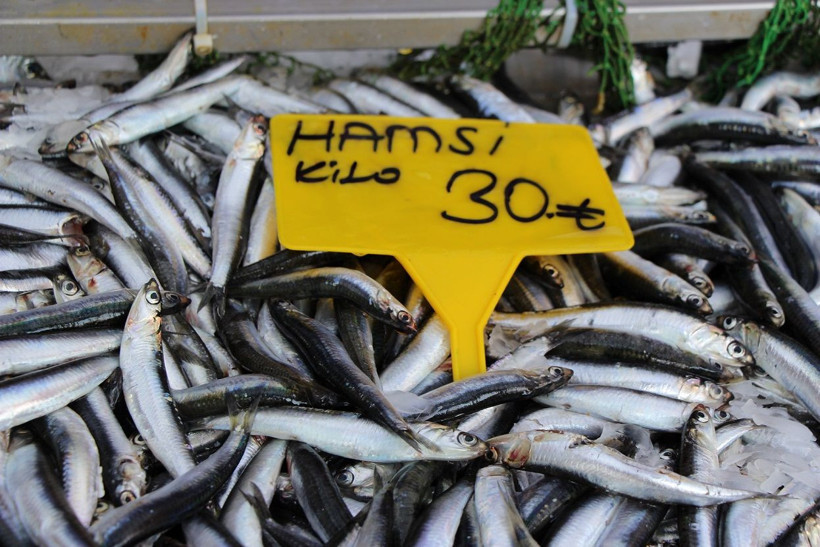 Balık fiyatları bu yıl pahalı uzmanlar kötü haberi verdi - Resim: 4