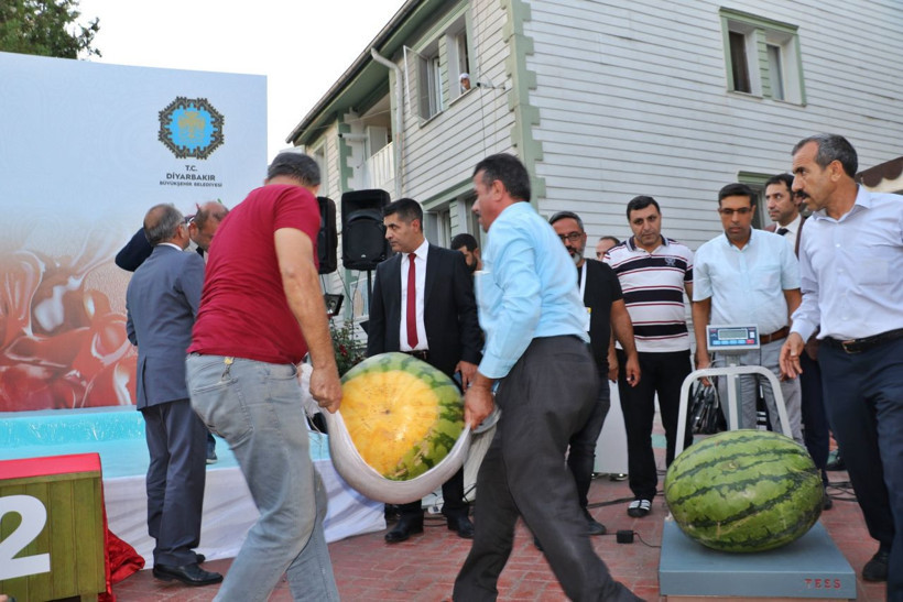 Diyarbakır 9. Karpuz Festivali'nde 49 kiloluk karpuz şaşırttı - Resim: 3