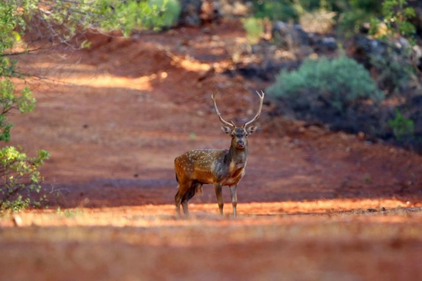 Antalyalı vatandaşlara önemli uyarı bölgeden uzak durulması isteniyor! - Resim: 3