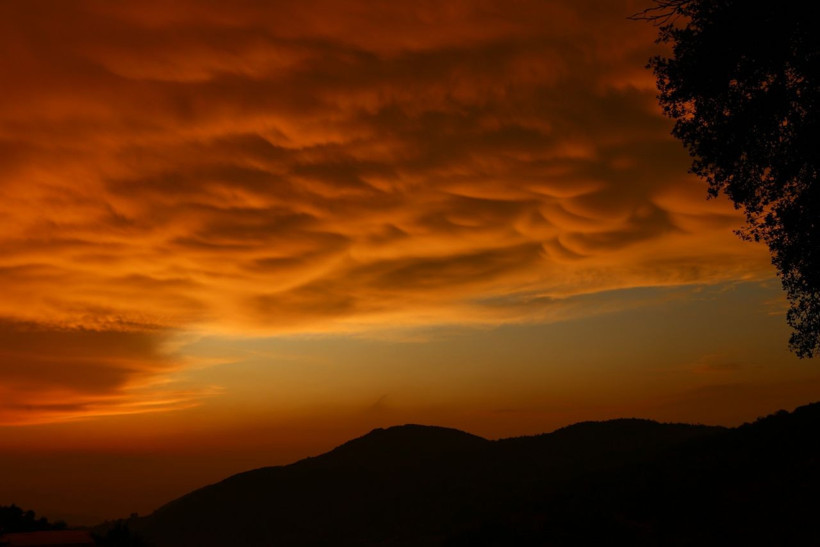 Türkiye'de ender görülüyordu! Memeli bulutlar Hatay'da ortaya çıktı - Resim: 4