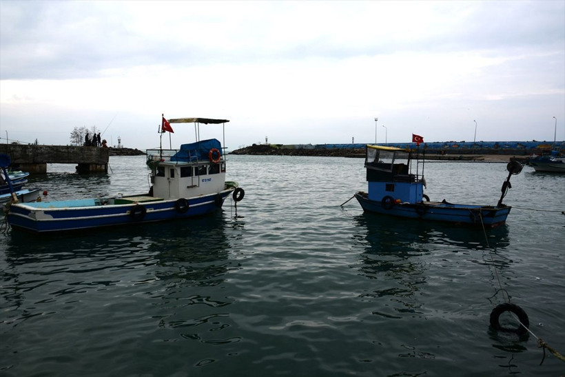 Balıkçılar bu yıl palamutta umduğunu bulamadı - Resim: 1